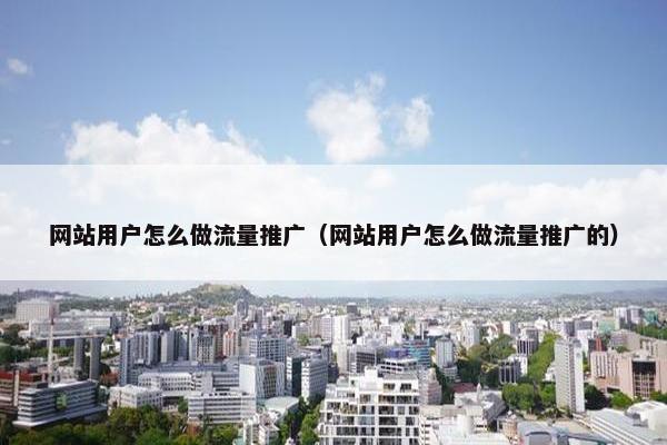 网站用户怎么做流量推广（网站用户怎么做流量推广的）