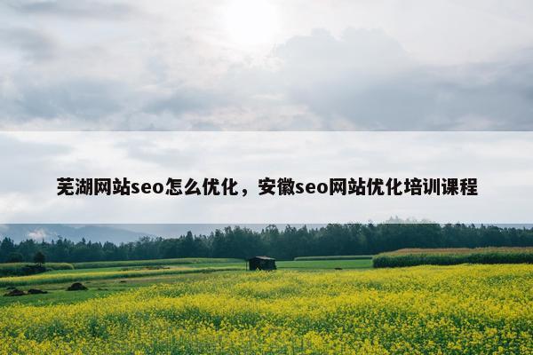 芜湖网站seo怎么优化，安徽seo网站优化培训课程