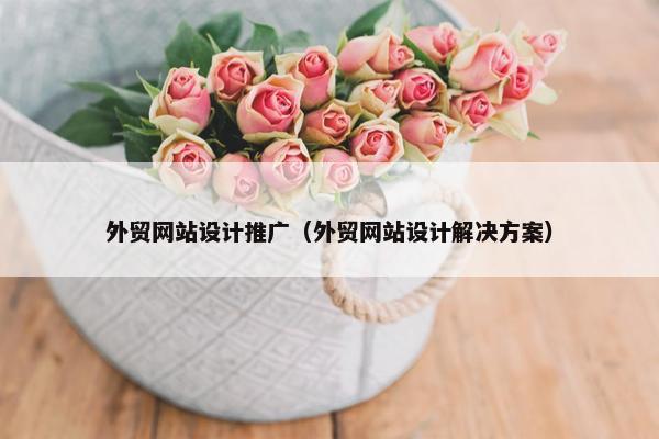 外贸网站设计推广（外贸网站设计解决方案）