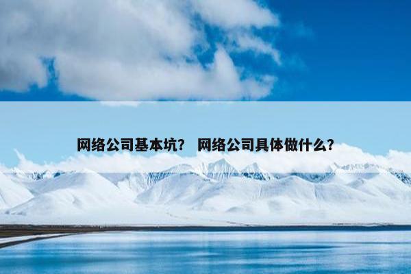 网络公司基本坑？ 网络公司具体做什么？