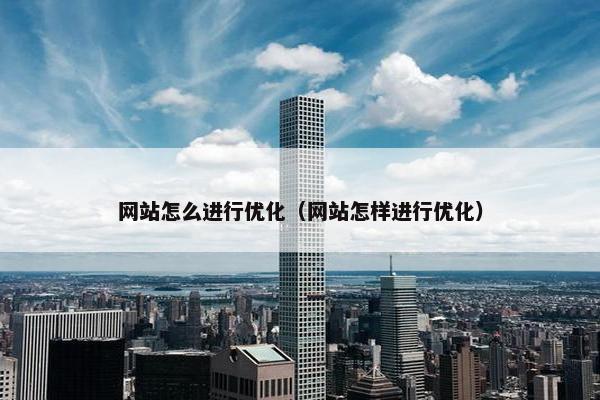 网站怎么进行优化（网站怎样进行优化）