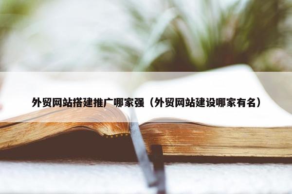 外贸网站搭建推广哪家强（外贸网站建设哪家有名）