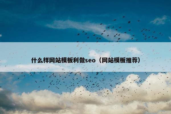 什么样网站模板利做seo（网站模板推荐）
