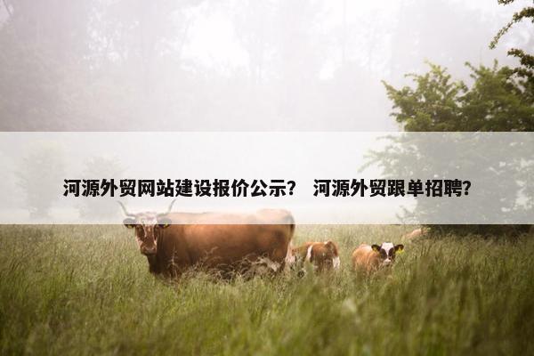 河源外贸网站建设报价公示？ 河源外贸跟单招聘？