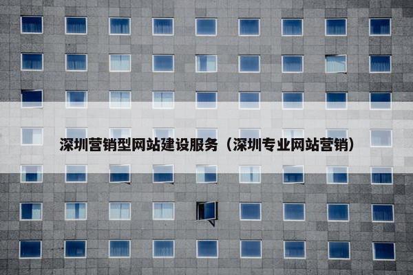 深圳营销型网站建设服务（深圳专业网站营销）