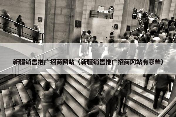 新疆销售推广招商网站（新疆销售推广招商网站有哪些）