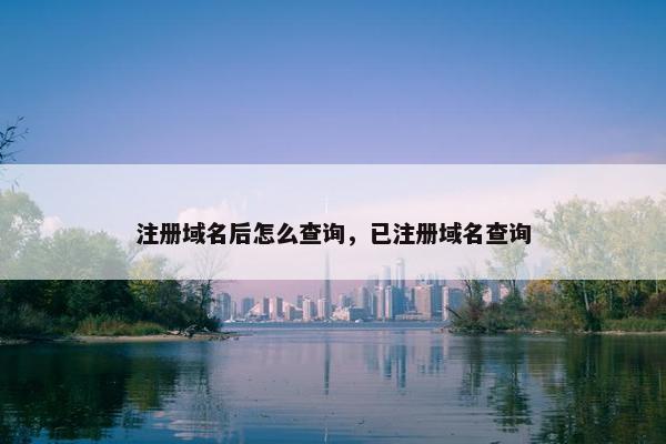 注册域名后怎么查询，已注册域名查询