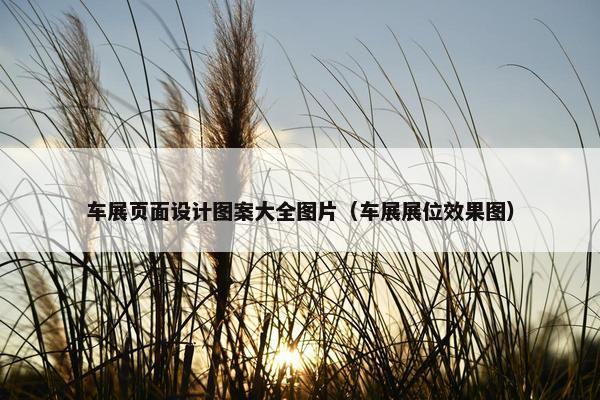 车展页面设计图案大全图片（车展展位效果图）