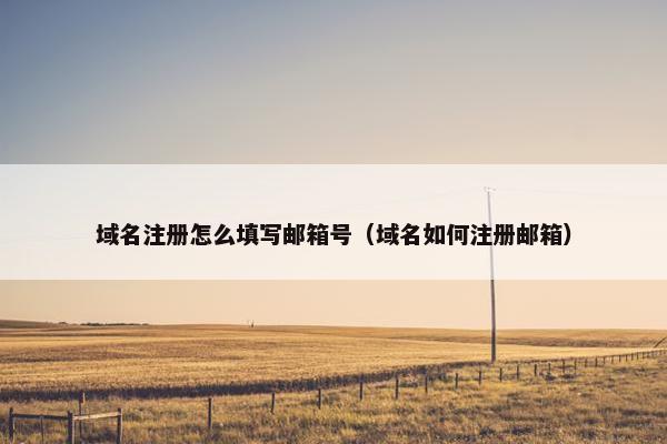 域名注册怎么填写邮箱号（域名如何注册邮箱）