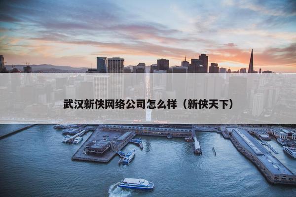 武汉新侠网络公司怎么样（新侠天下）