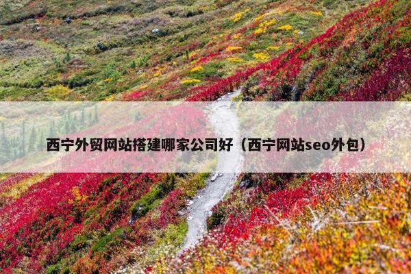 西宁外贸网站搭建哪家公司好（西宁网站seo外包）