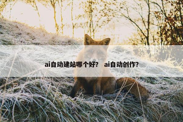 ai自动建站哪个好？ ai自动创作？