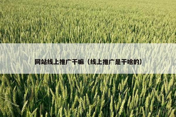 网站线上推广干嘛（线上推广是干啥的）