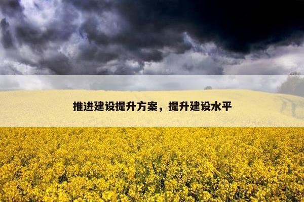 推进建设提升方案，提升建设水平