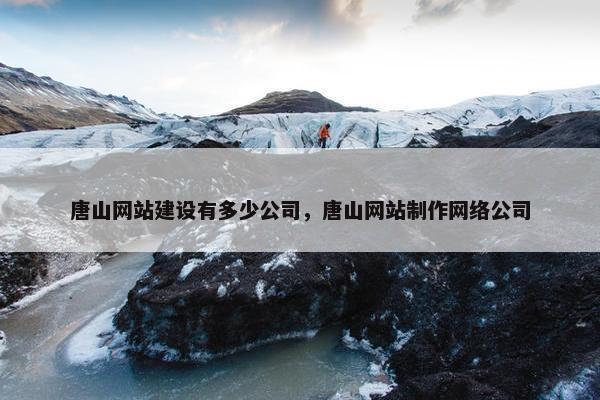 唐山网站建设有多少公司，唐山网站制作网络公司