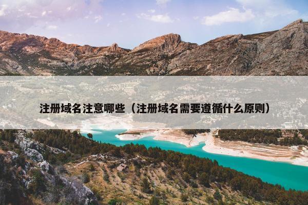 注册域名注意哪些（注册域名需要遵循什么原则）