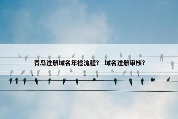 青岛注册域名年检流程？ 域名注册审核？