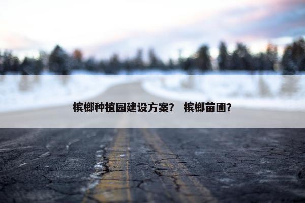 槟榔种植园建设方案？ 槟榔苗圃？