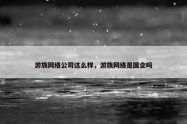 游族网络公司这么样，游族网络是国企吗