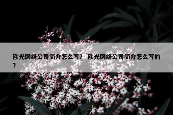 欧光网络公司简介怎么写？ 欧光网络公司简介怎么写的？
