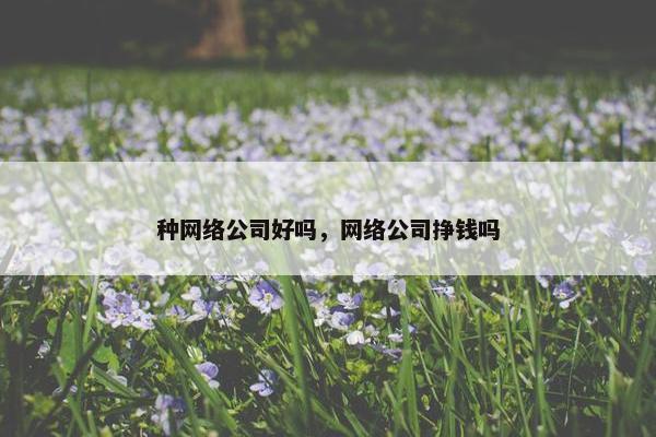 种网络公司好吗，网络公司挣钱吗