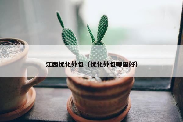 江西优化外包（优化外包哪里好）