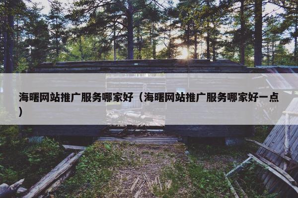 海曙网站推广服务哪家好（海曙网站推广服务哪家好一点）