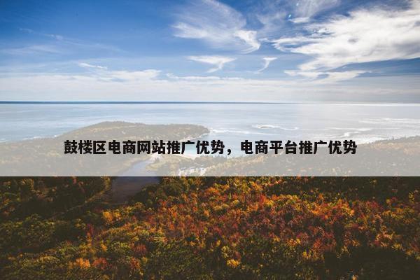 鼓楼区电商网站推广优势，电商平台推广优势