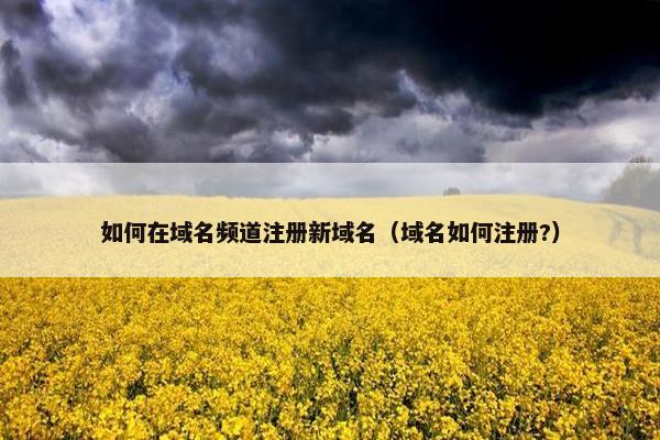 如何在域名频道注册新域名（域名如何注册?）
