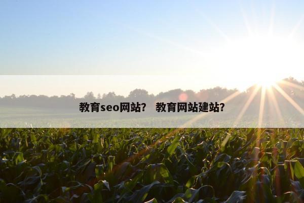教育seo网站？ 教育网站建站？