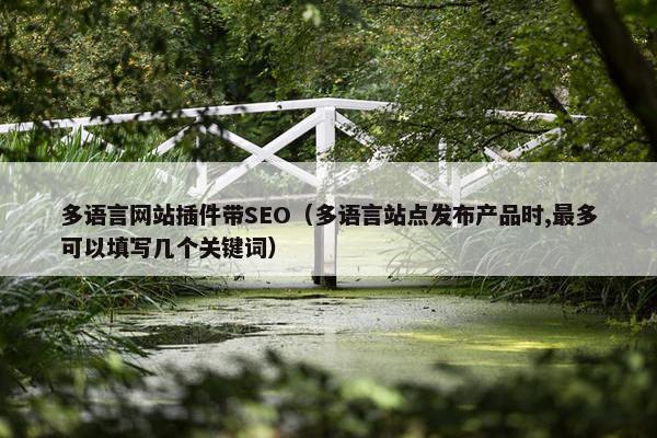 多语言网站插件带SEO（多语言站点发布产品时,最多可以填写几个关键词）