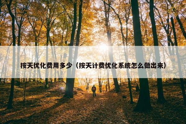 按天优化费用多少（按天计费优化系统怎么做出来）