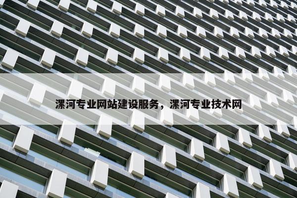 漯河专业网站建设服务，漯河专业技术网