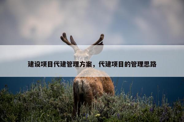 建设项目代建管理方案，代建项目的管理思路