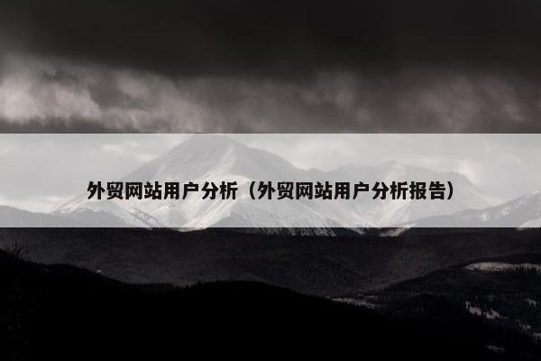 外贸网站用户分析（外贸网站用户分析报告）