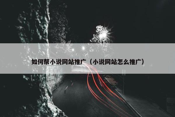 如何帮小说网站推广（小说网站怎么推广）