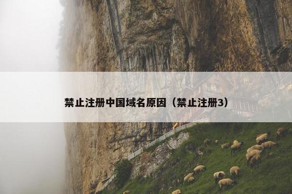 禁止注册中国域名原因（禁止注册3）