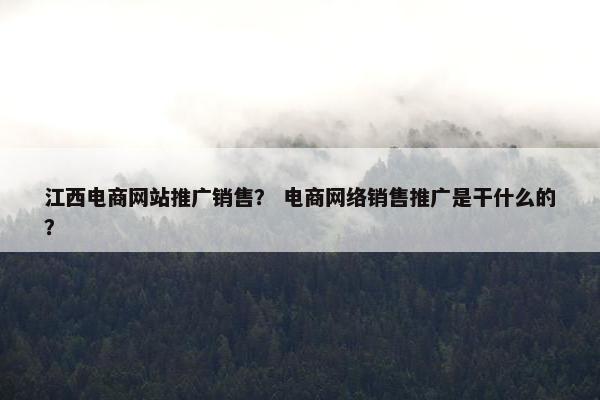 江西电商网站推广销售？ 电商网络销售推广是干什么的？
