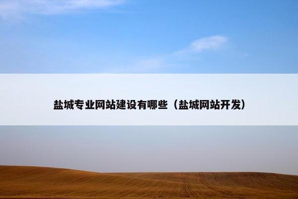 盐城专业网站建设有哪些（盐城网站开发）