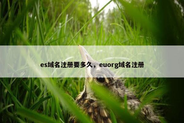 es域名注册要多久，euorg域名注册