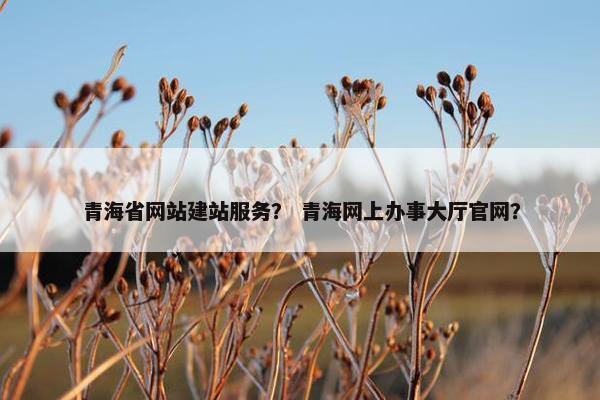 青海省网站建站服务？ 青海网上办事大厅官网？