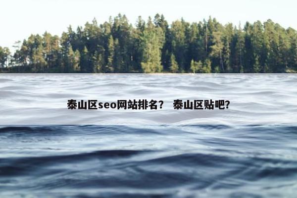 泰山区seo网站排名？ 泰山区贴吧？