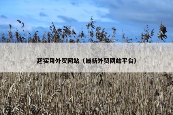 超实用外贸网站（最新外贸网站平台）