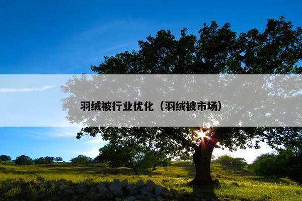 羽绒被行业优化（羽绒被市场）