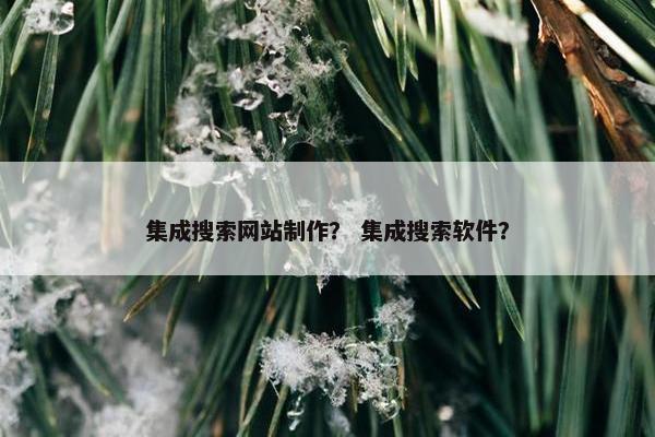 集成搜索网站制作？ 集成搜索软件？