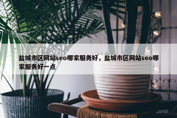 盐城市区网站seo哪家服务好，盐城市区网站seo哪家服务好一点