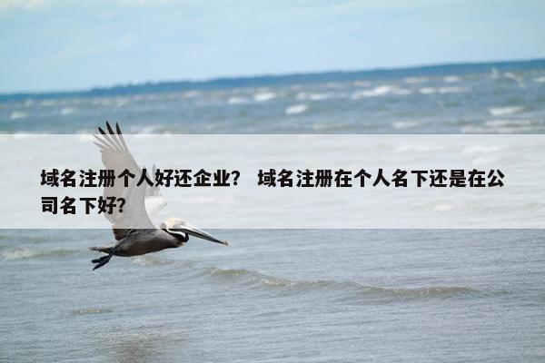 域名注册个人好还企业？ 域名注册在个人名下还是在公司名下好？
