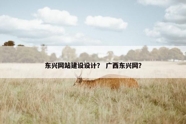 东兴网站建设设计？ 广西东兴网？