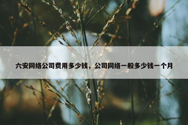 六安网络公司费用多少钱，公司网络一般多少钱一个月