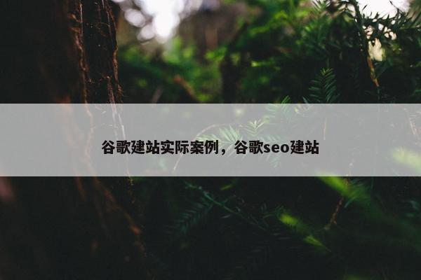 谷歌建站实际案例，谷歌seo建站
